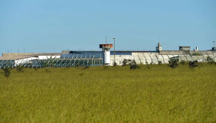 Governo cria força penal contra crime organizado